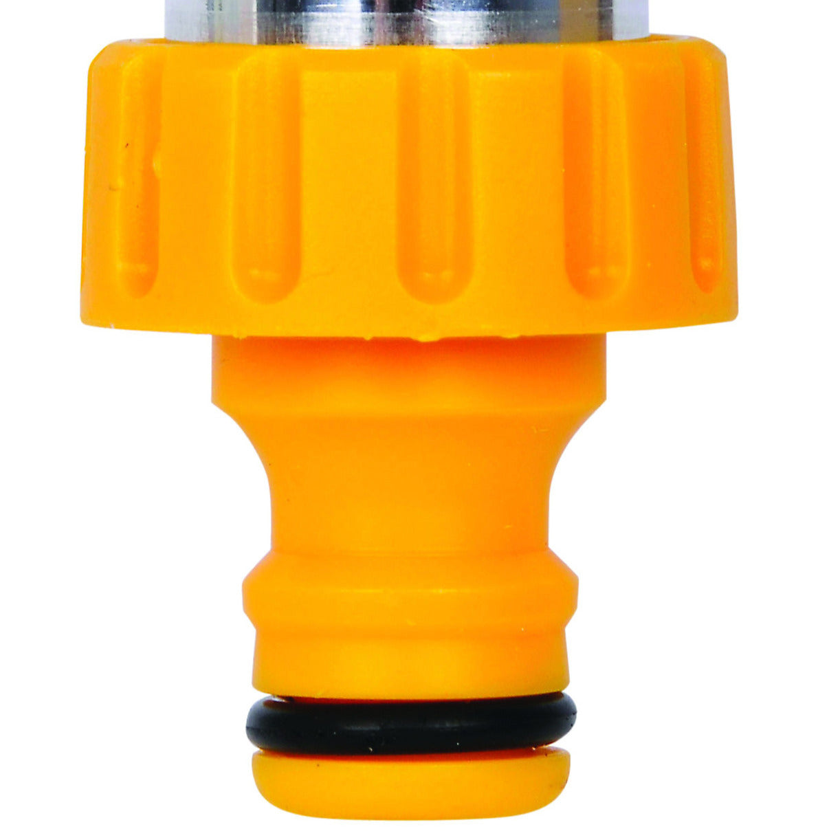 Hōzuki50 hoz_103387_2_1706094154284.jpg