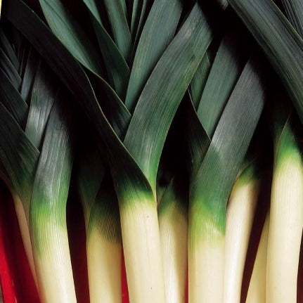 Winterprei Blauw Farinto - Bakker