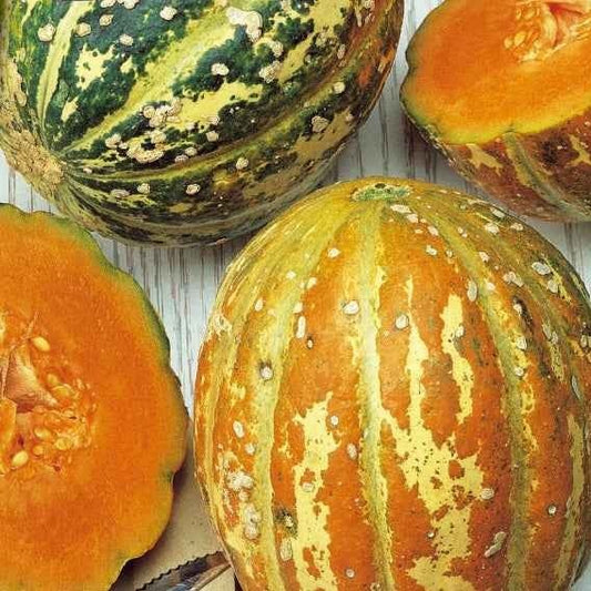 Meloen 'Oranje Ananas' - Bakker