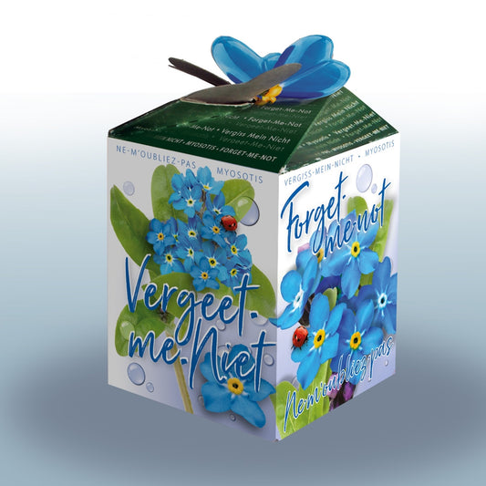 Kit Vergeet-me-nietjes - Bakker