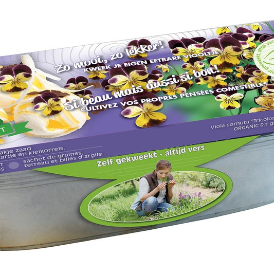 Zinken teil Viool kleuren BIO - Bakker