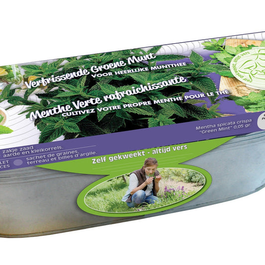 Zinken teil Munt - Bakker