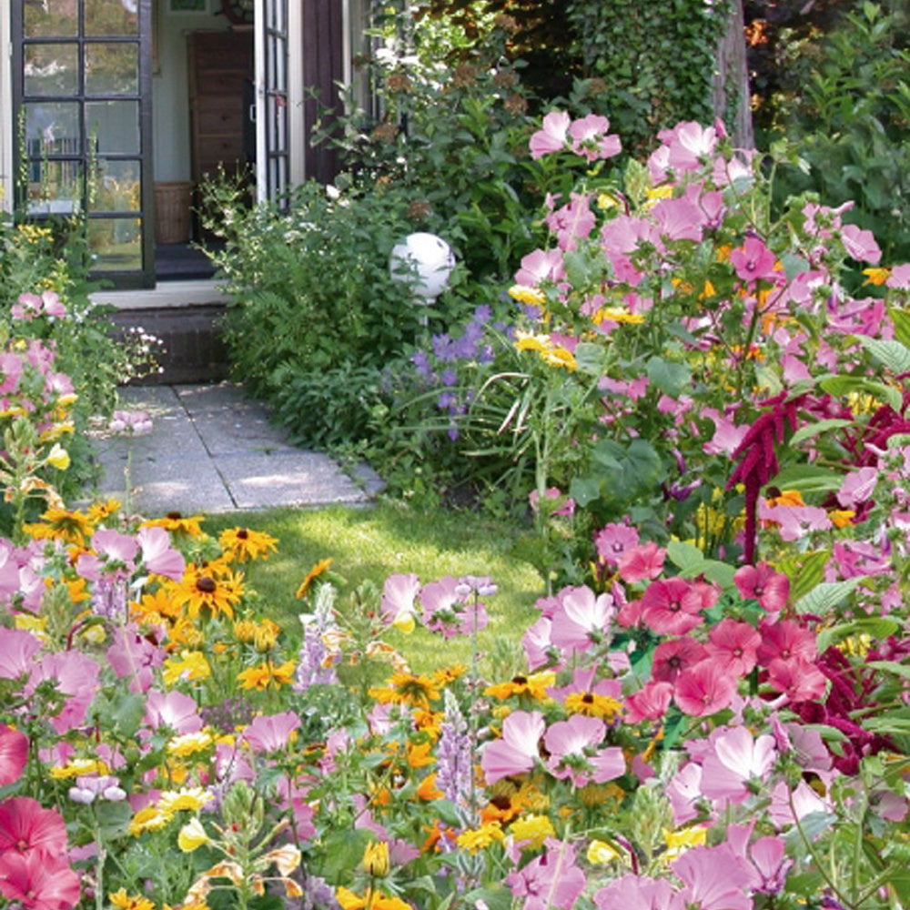 Bloemenmix 'Cottage Garden' - eenjarig - Moestuin