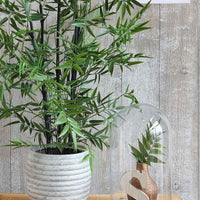 Mica Glazen stolp Hella op houten bord - Bloempotten met plantenstandaard