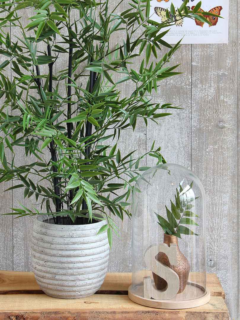Mica Glazen stolp Hella op houten bord - Bloempotten met plantenstandaard