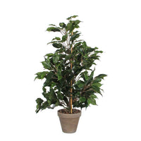 Mica Kunstplant Ficus Exotica - Groene kunstplanten