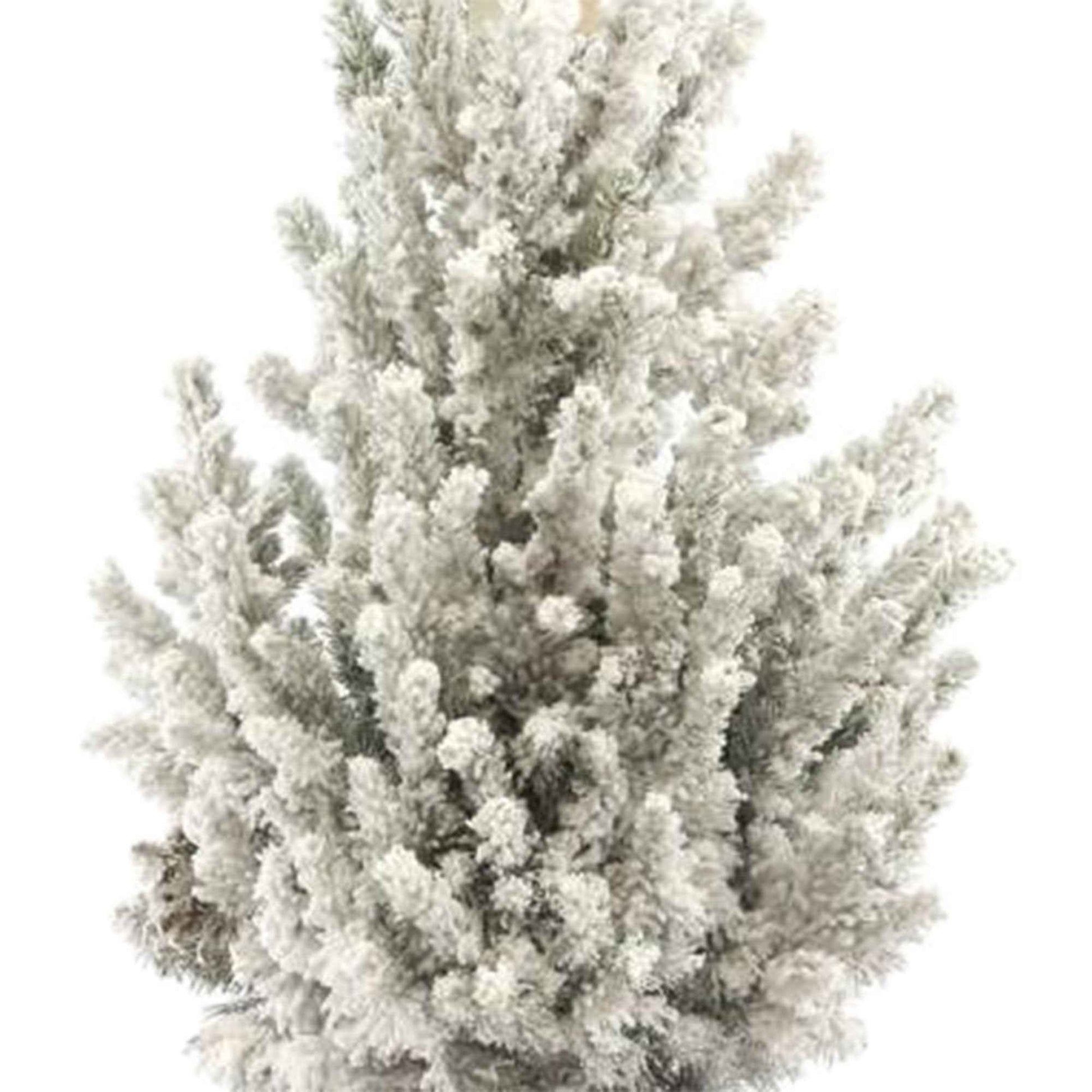Picea glauca groen-wit met sneeuw incl. mand crème - Mini kerstboom - Alle bomen en hagen
