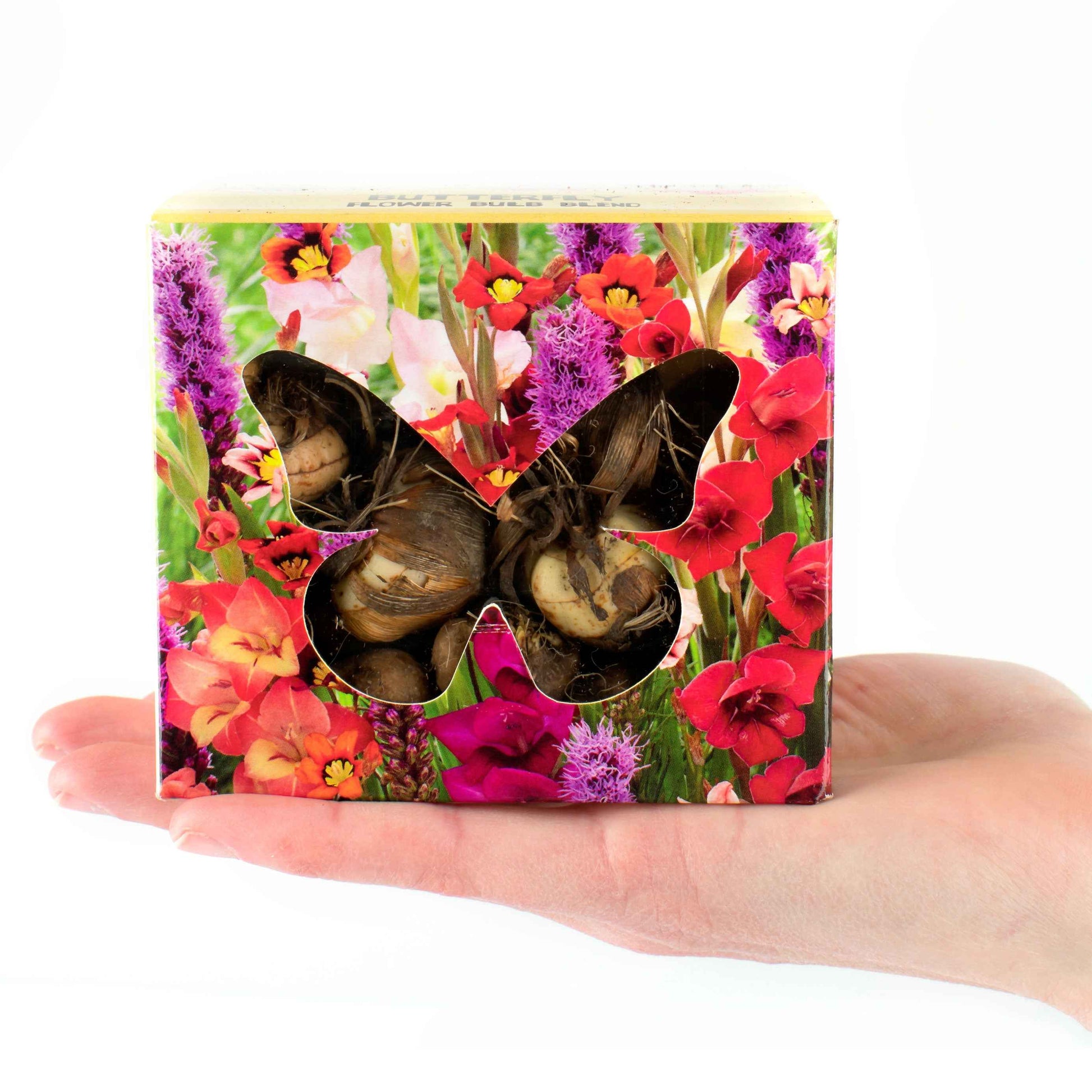 100x Knollen - Mix Butterfly - Bloembollen cadeau