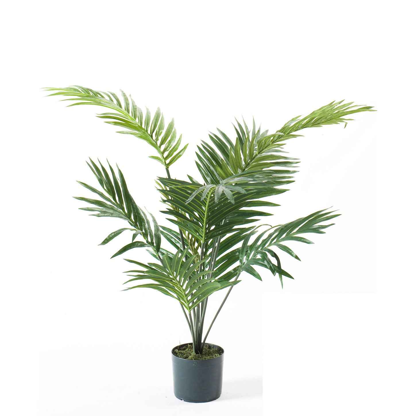 Kunstplant Areca palm Dypsis incl. sierpot zwart - Alle kunstplanten
