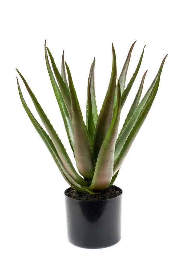 Kunstplant Aloe vera groen-rood incl. sierpot antraciet - Kunst vetplanten