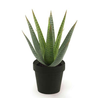 Kunstplant Aloe vera incl. sierpot zwart - Kunst vetplanten