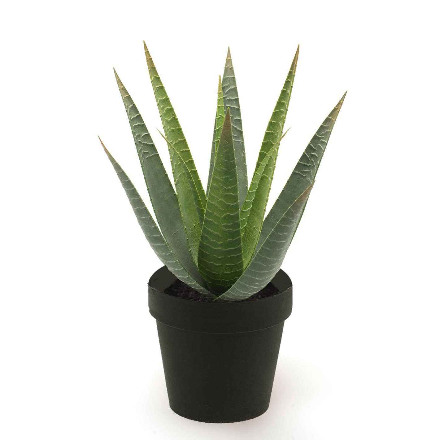 Kunstplant Aloe vera incl. sierpot zwart - Kunst vetplanten