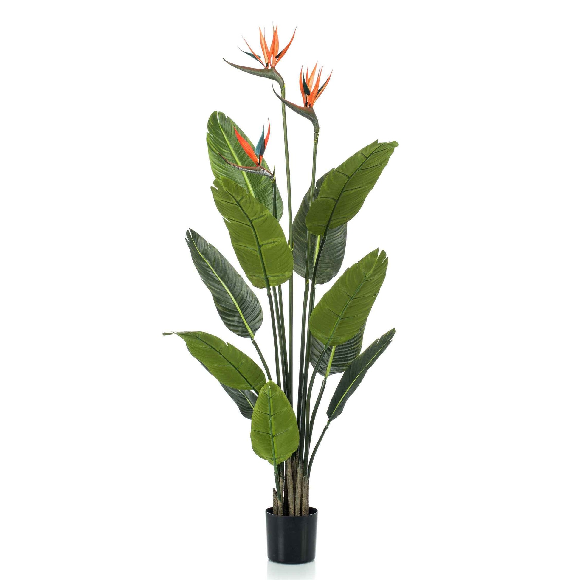 Kunstplant Paradijsvogelplant Strelitzia oranje incl. sierpot zwart - Alle kunstplanten