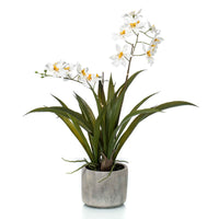 Kunstplant Orchidee Oncidium wit-geel incl. keramische sierpot - Groene kunstplanten