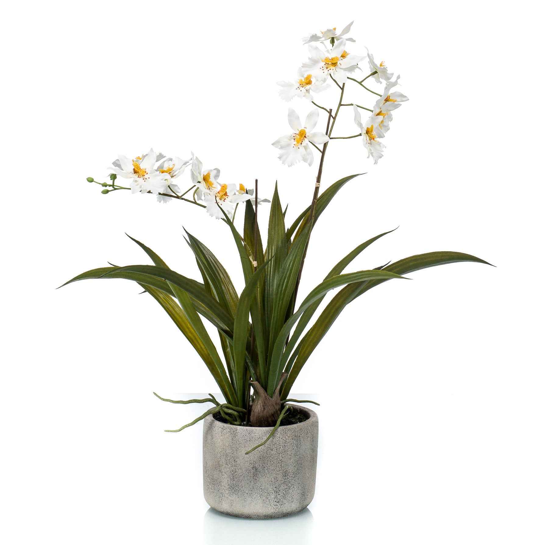 Kunstplant Orchidee Oncidium wit-geel incl. keramische sierpot - Groene kunstplanten