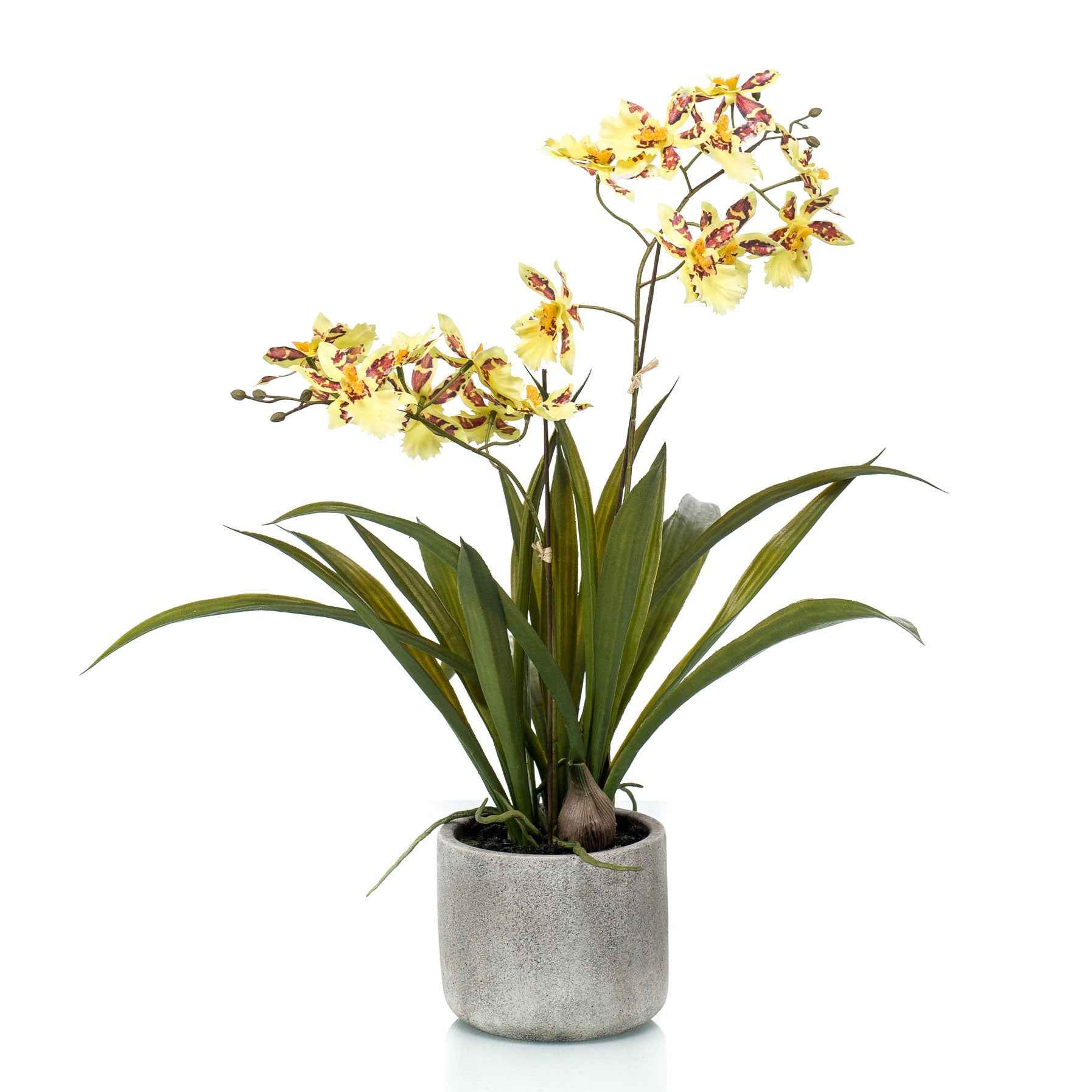 Kunstplant Orchidee Oncidium geel incl. keramische sierpot - Alle kunstplanten