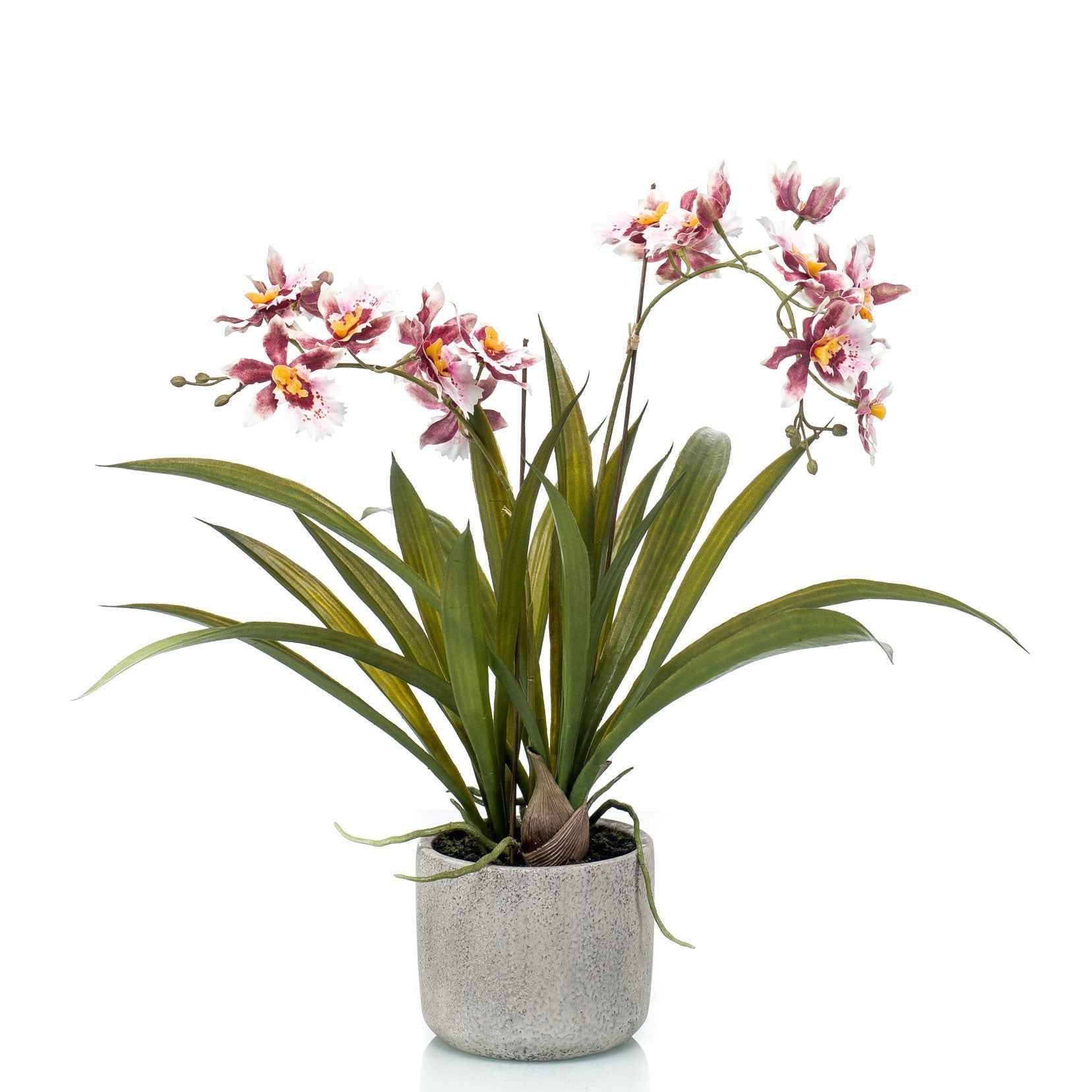 Kunstplant Orchidee Oncidium roze incl. keramische sierpot - Groene kunstplanten