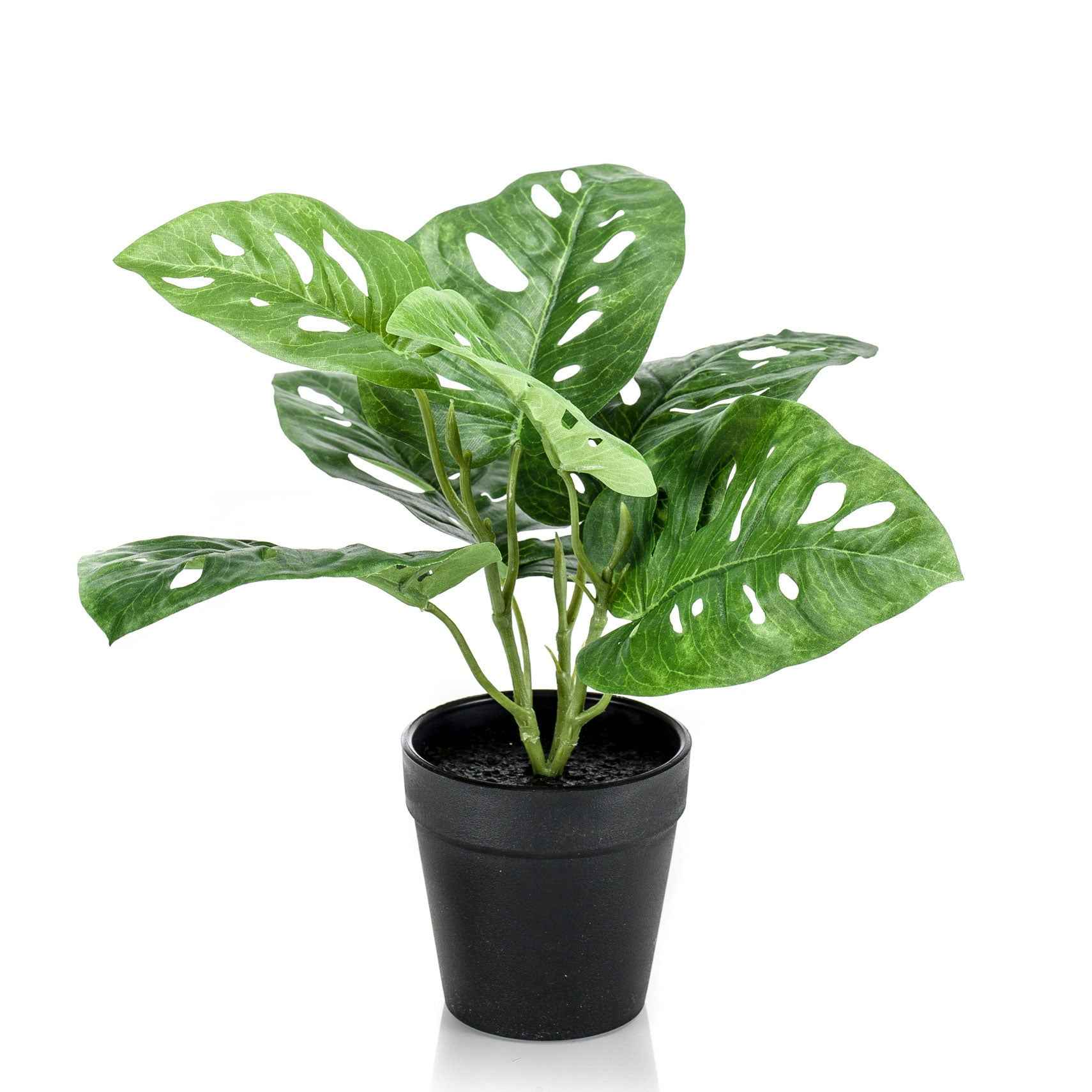 Kunstplant Gatenplant Monstera Monkey Leaf incl. sierpot zwart - Groene kunstplanten