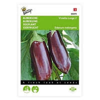 Aubergine Solanum Violetta Lunga 10 m² - Groentezaden - Groentezaden