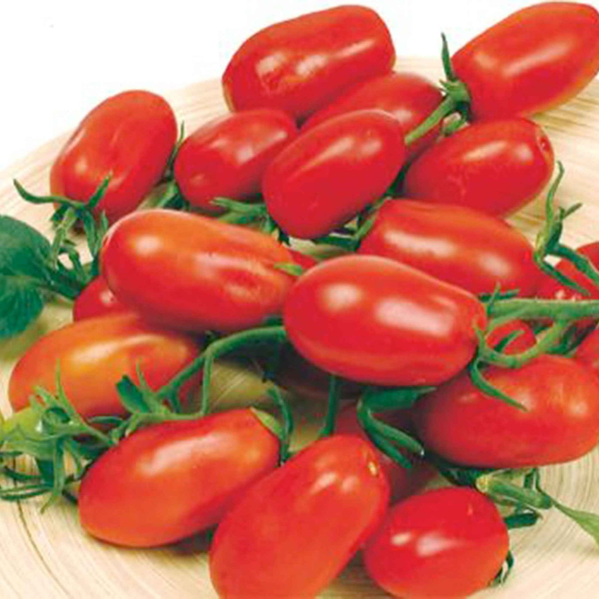 Tomaat Solanum Ravello F1 2 m² - Groentezaden - Moestuin