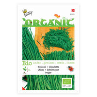 Bieslook Allium Prager - Biologisch 4 m² - Kruidenzaden - Moestuin