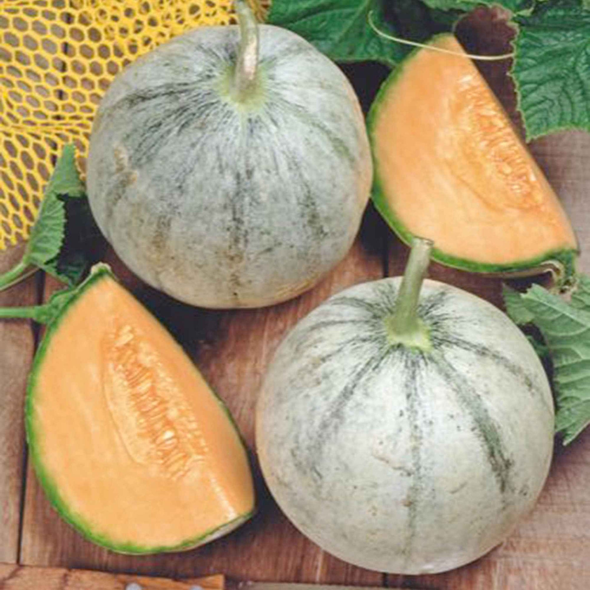 Meloen Cucumis Charentais - Biologisch 3 m² - Fruitzaden - Fruit