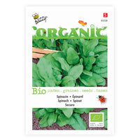 Spinazie Spinacia Securo - Biologisch 8 m² - Groentezaden - Biologische tuinplanten
