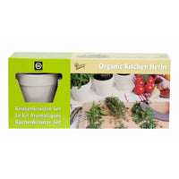 Keukenkruiden - Mix incl. witte potten en tray - Kruidenzaden - Cadeau idee