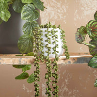Kunstplant Vetplant Senecio Pearl - Kunst hangplanten