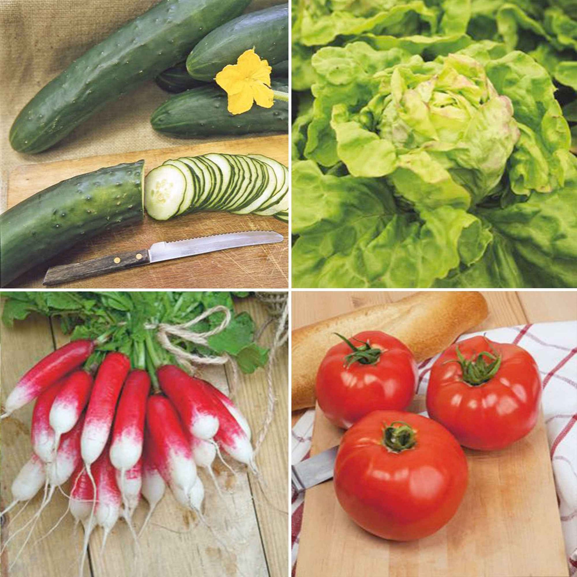 Voorjaarsgroenten pakket Verfrissende Voorjaar - Biologisch - Groentezaden - Doe-het-zelf-groentepakket