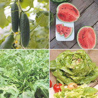 Zomerpakket Zalige Zomer - Biologische groentezaden, kruidenzaden, fruitzaden - Doe-het-zelf-groentepakket