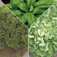 Groene smoothie pakket Gloeiend Groen - Biologisch - Groentezaden - Doe-het-zelf-groentepakket
