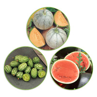 Meloenen pakket Machtige Meloenen 21 m² - Fruitzaden - Fruit kweekset