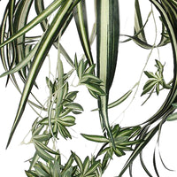 Kunstplant Chlorophytum hangend groen incl. sierpot groen en plantenhanger - Kunstplanten in sierpot