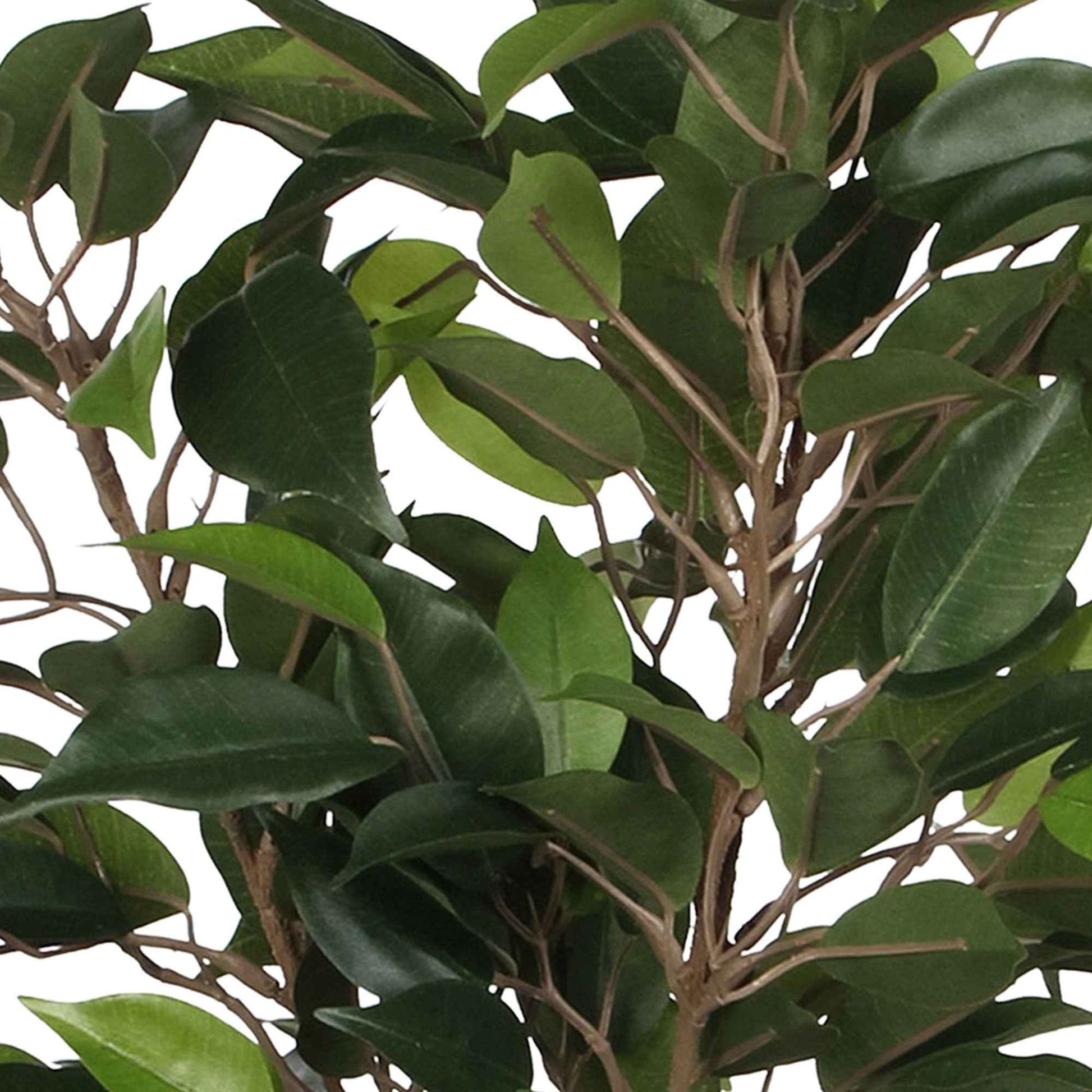 Kunstplant Ficus Natasja groen incl. sierpot wit - Alle kunstplanten