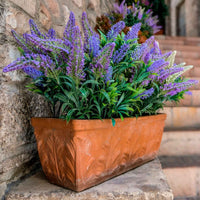 Lavendel lavendula angustifolia Groen-Grijs - Winterhard - Alle vaste tuinplanten