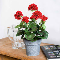 Kunstplant Geranium rood incl. sierpot rond aardewerk - Alle kunstplanten
