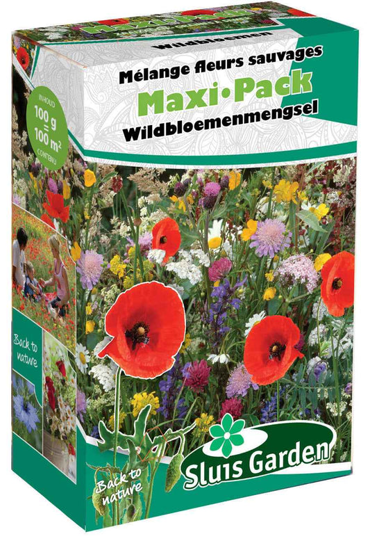 Wilde bloemenmix - maxi-pack